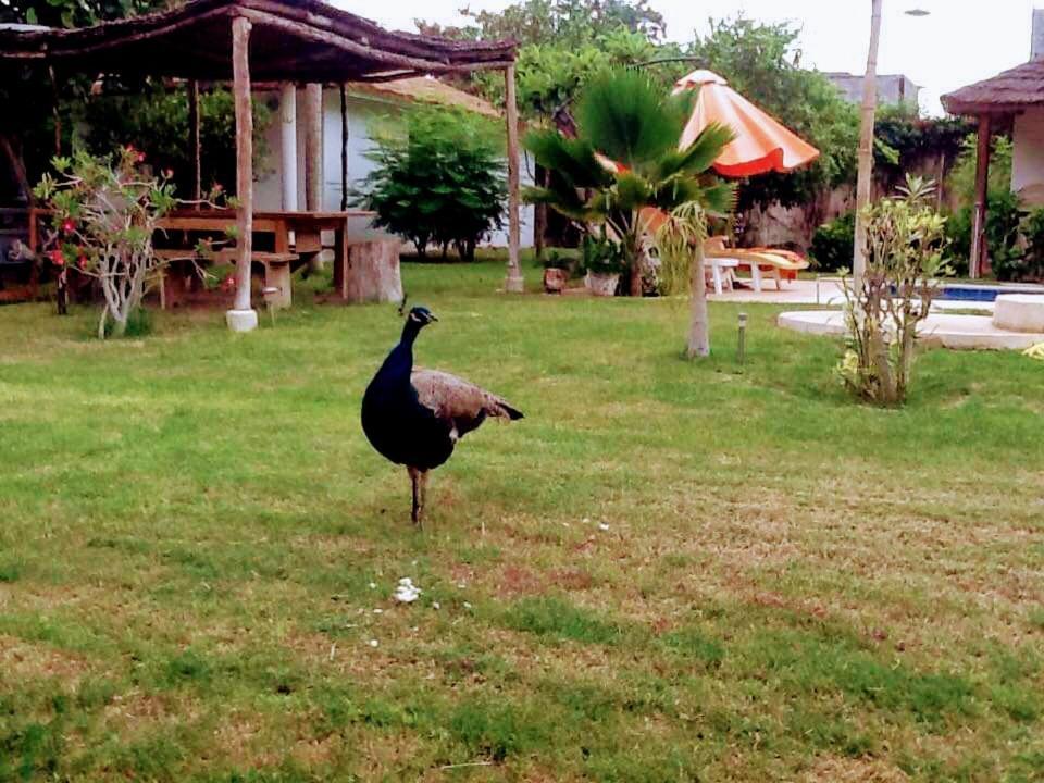 فندق Jardin D'Afrique سالي بوخْتيودال الغرفة الصورة